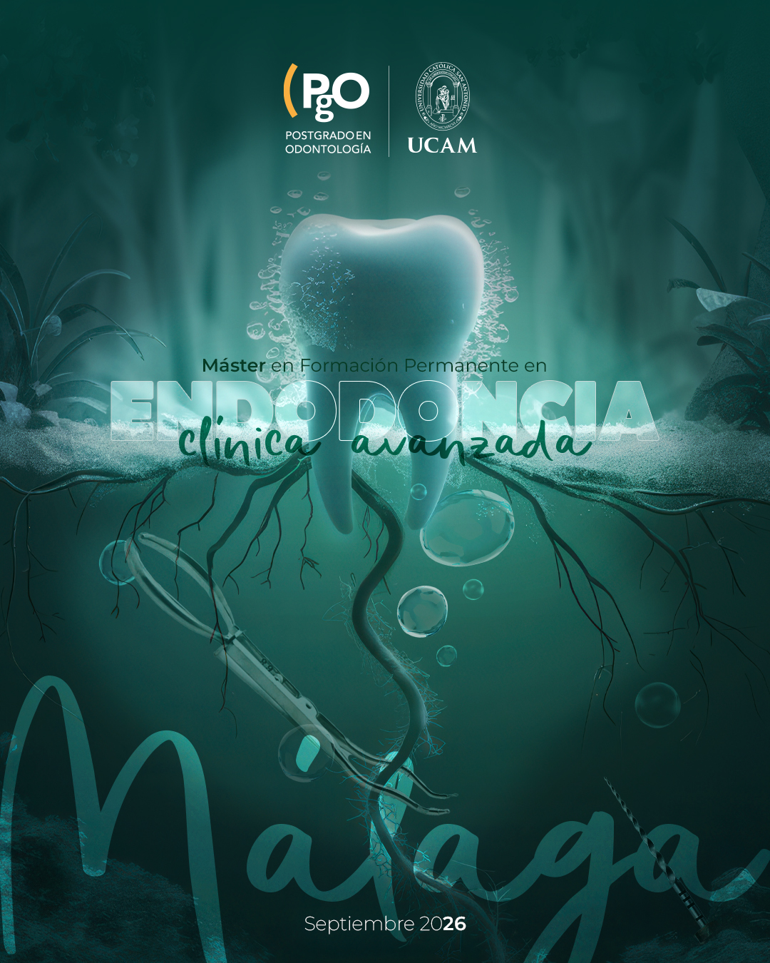 imagen del minicurso Endodoncia Clínica Avanzada